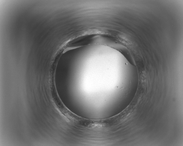 X0000067470352200604101205