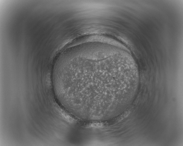 X0000067470353200604101205