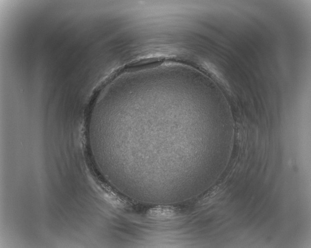 X0000067470354200604101205