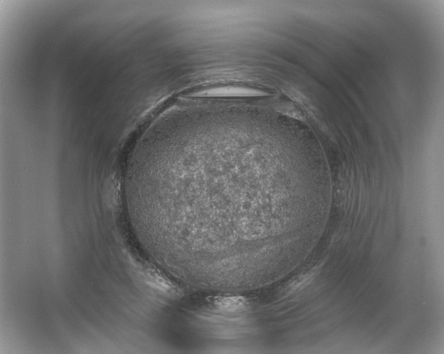 X0000067470355200604101205