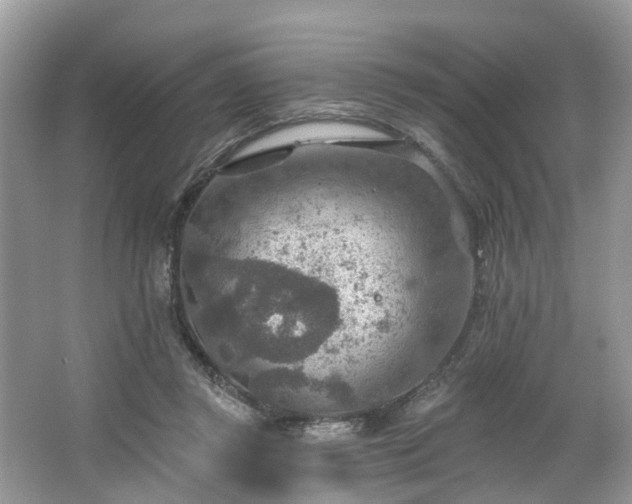 X0000067470357200604101205