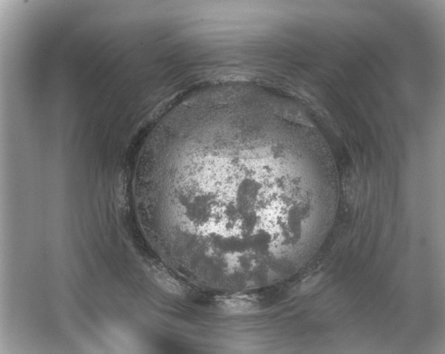 X0000067470359200604101205