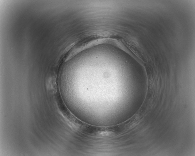 X0000067470360200604101205