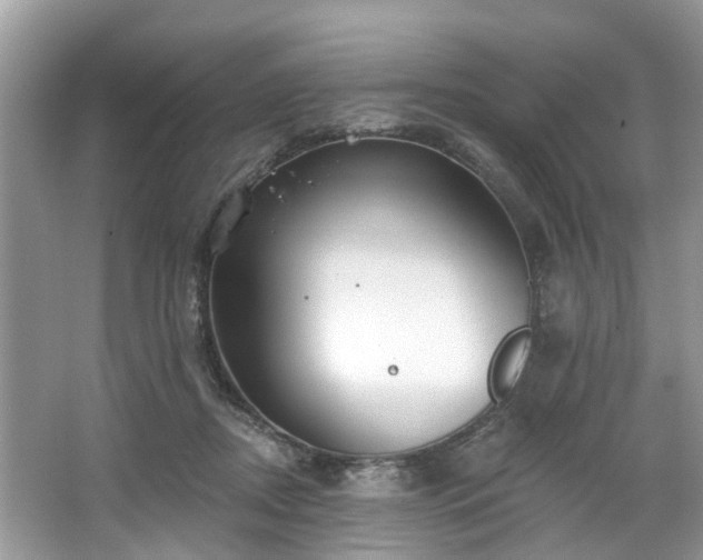 X0000067470362200604101205