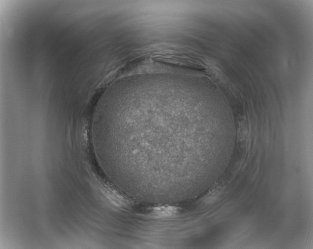 X0000067470363200604101205