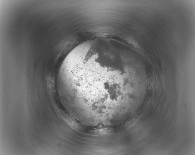 X0000067470365200604101205