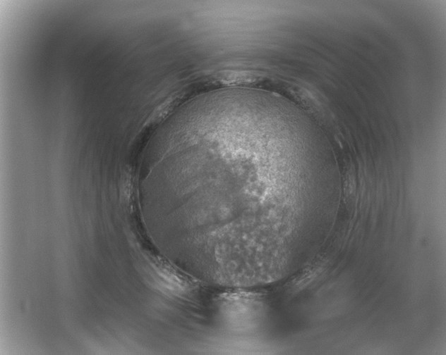 X0000067470367200604101205