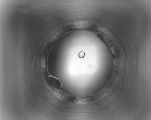 X0000067470368200604101205