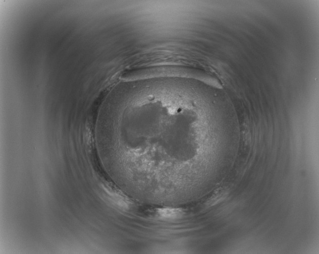 X0000067470371200604101205