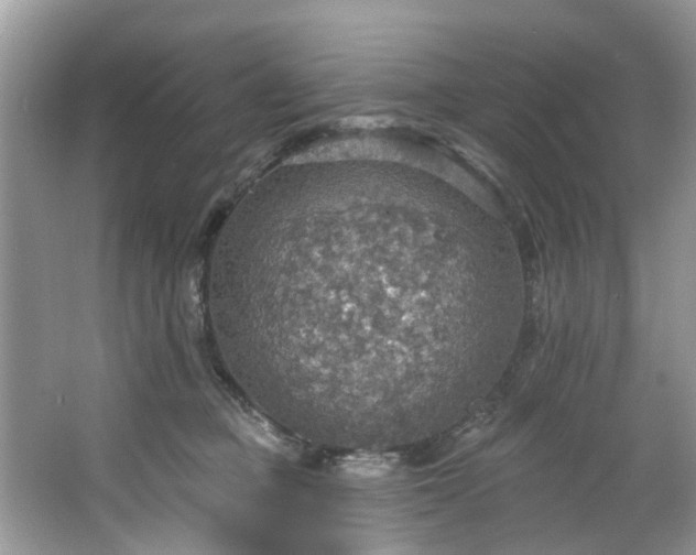 X0000067470373200604101205