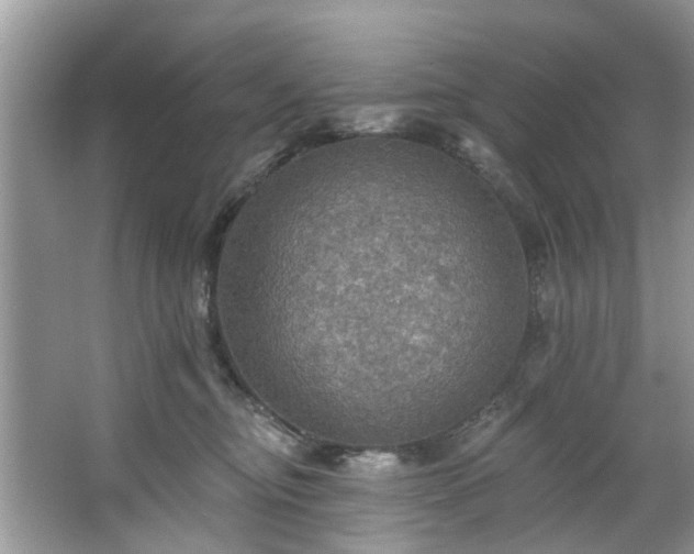 X0000067470374200604101205