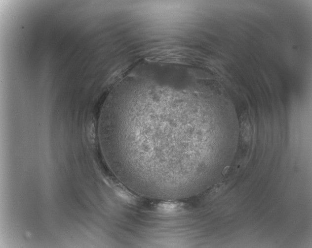 X0000067470375200604101205