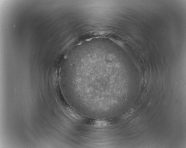 X0000067470376200604101205