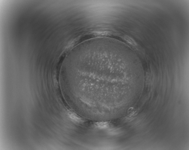 X0000067470377200604101205