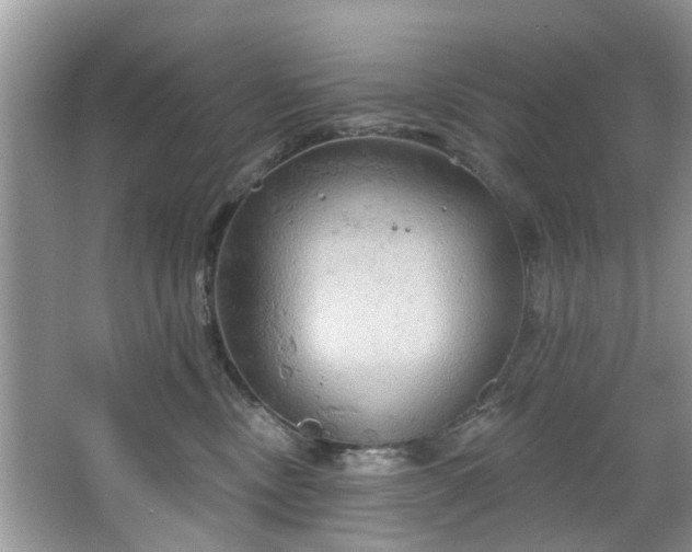 X0000067470378200604101205