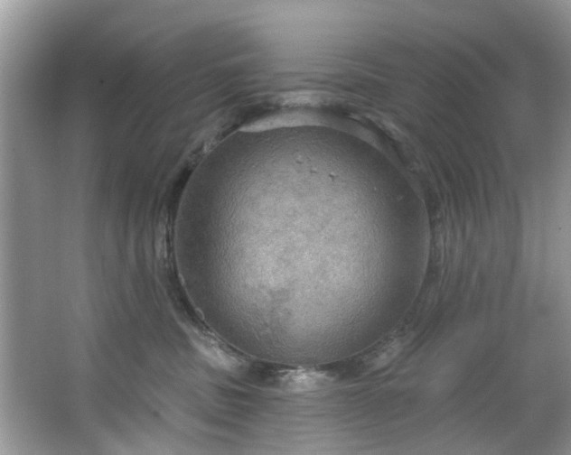 X0000067470379200604101205