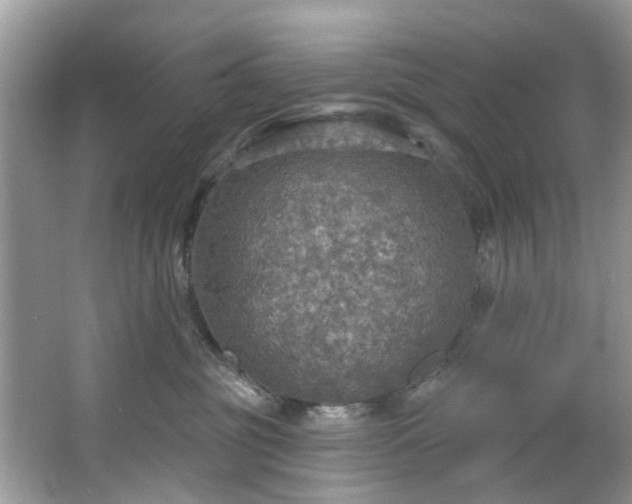 X0000067470381200604101205