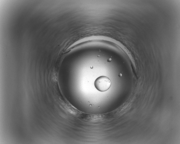 X0000067470384200604101205