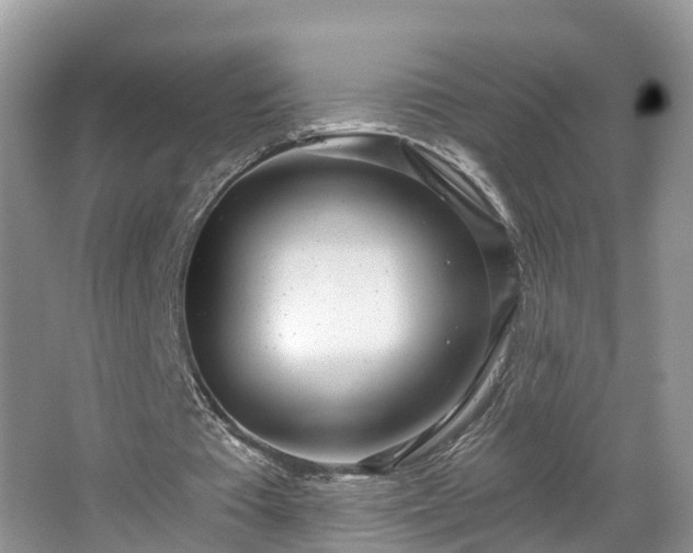 X0000067470385200604101204