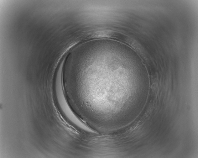 X0000067470386200604101204