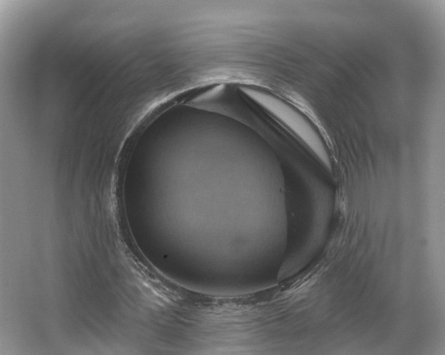 X0000067470387200604101204