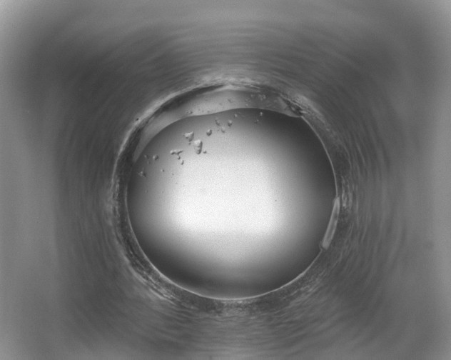 X0000067470388200604101204