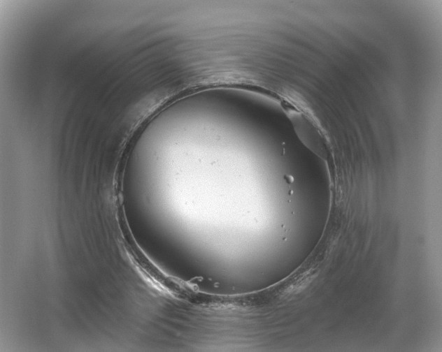 X0000067470389200604101204