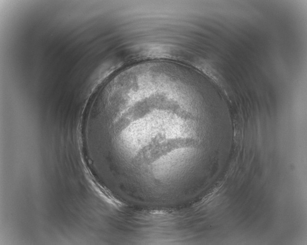 X0000067470390200604101204