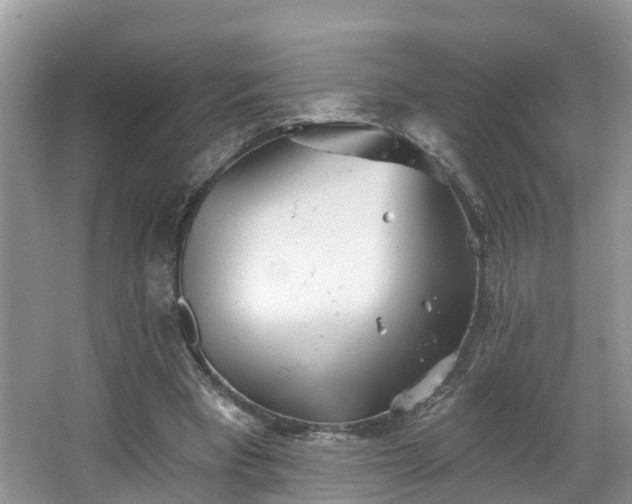 X0000067470393200604101204