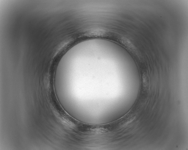 X0000067470396200604101204