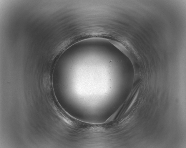 X0000067470397200604101204