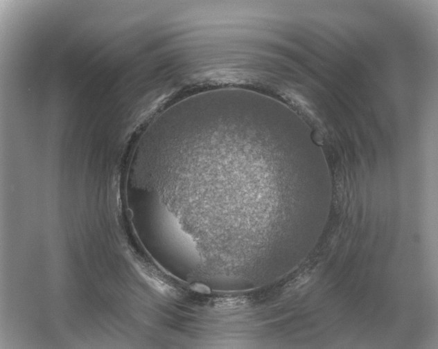 X0000067470398200604101204