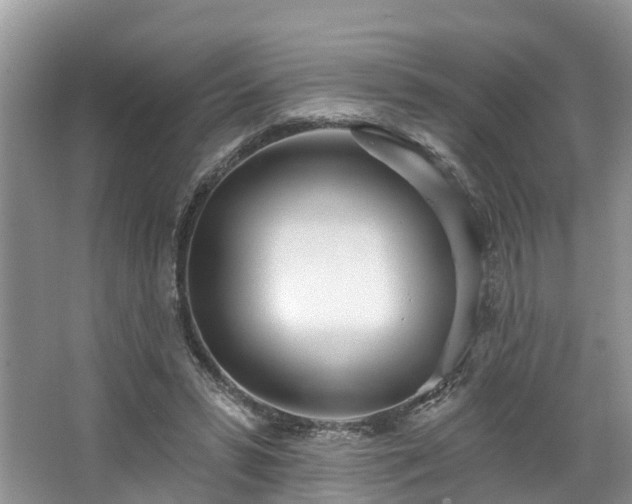 X0000067470399200604101204