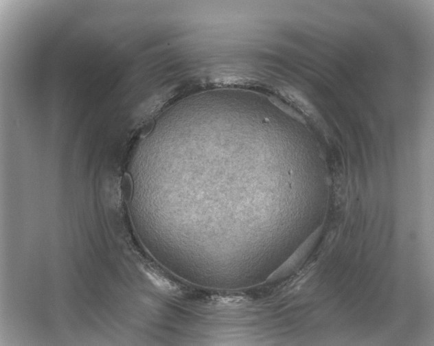 X0000067470401200604101204