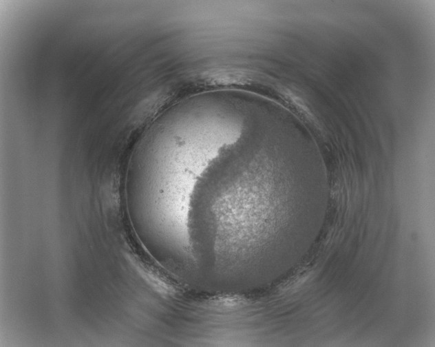 X0000067470402200604101204