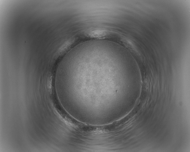 X0000067470404200604101204