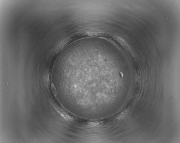 X0000067470405200604101204