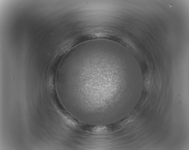 X0000067470410200604101204