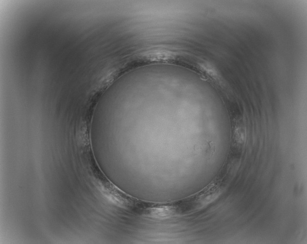 X0000067470411200604101204