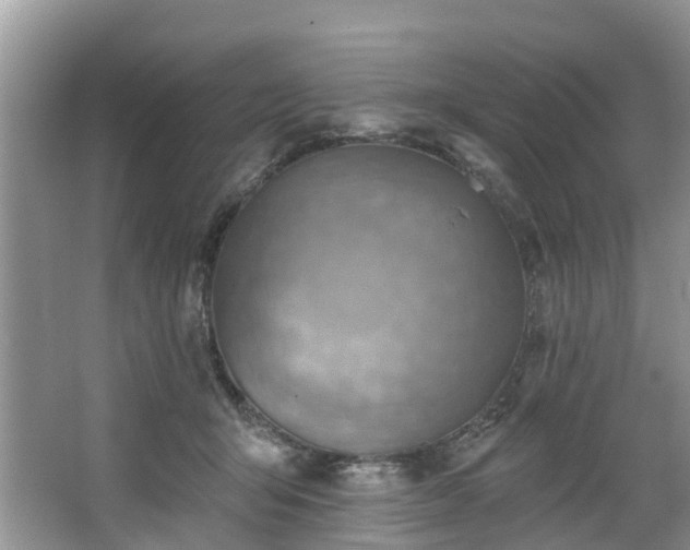 X0000067470415200604101204