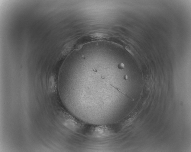 X0000067470420200604101204