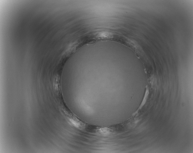 X0000067470423200604101204