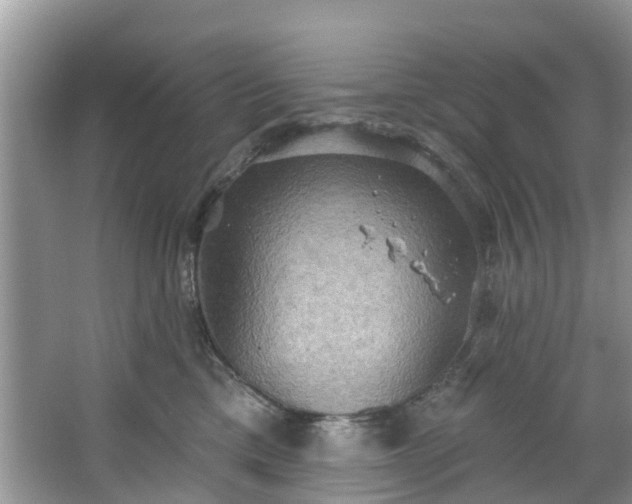 X0000067470425200604101204