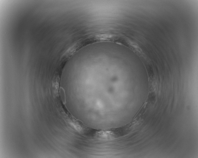 X0000067470427200604101204