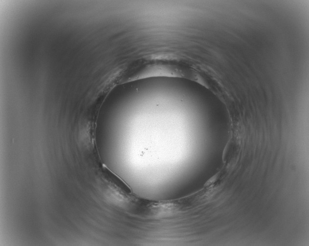 X0000067470428200604101204