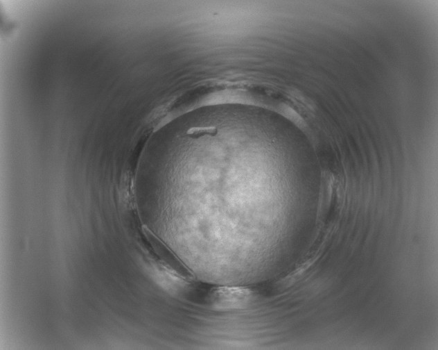 X0000067470429200604101204