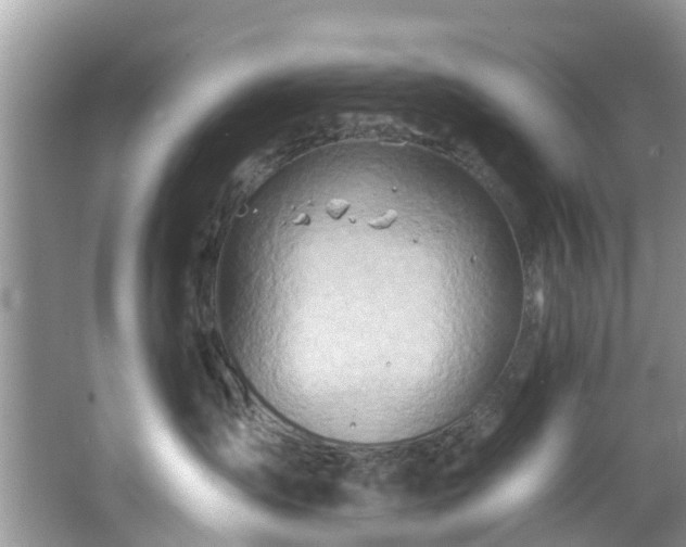 X0000067470431200604101204