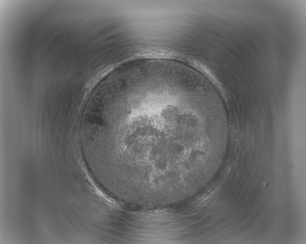 X0000067470433200604101203