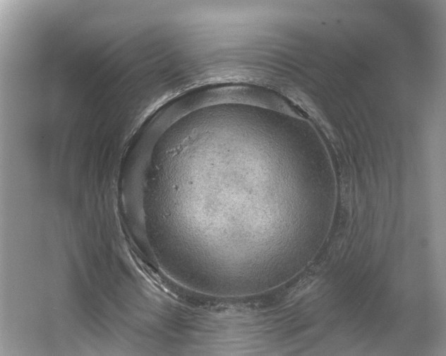 X0000067470434200604101203