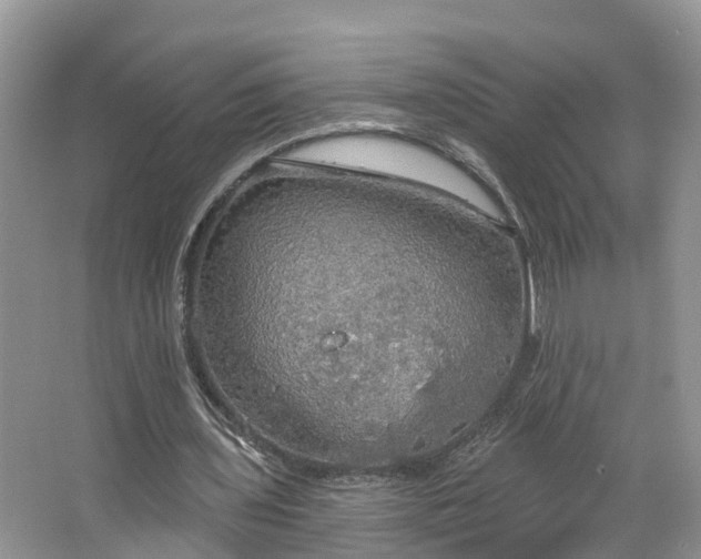 X0000067470435200604101203